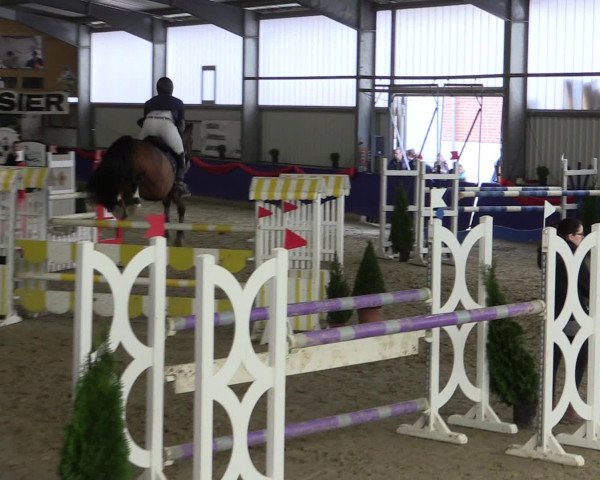 Reitturnier Arnsberg-Voßwinkel 2017