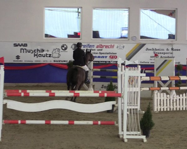 Reitturnier Arnsberg-Voßwinkel 2017