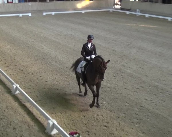 Reitturnier Heidelberg-Kirchheim 2017