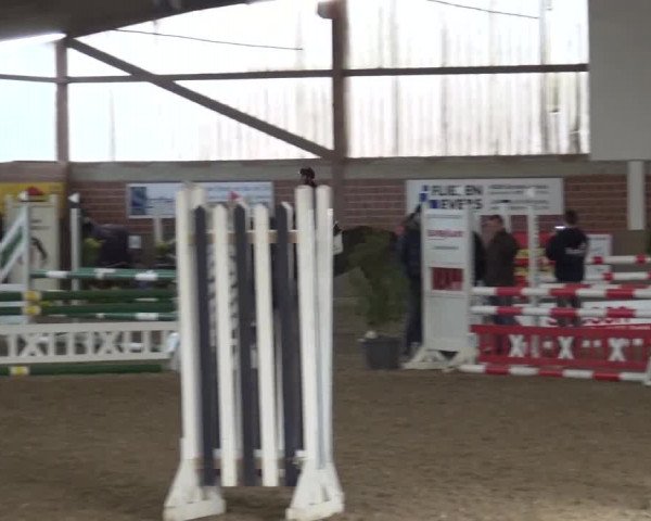 Reitturnier Lembeck 2017