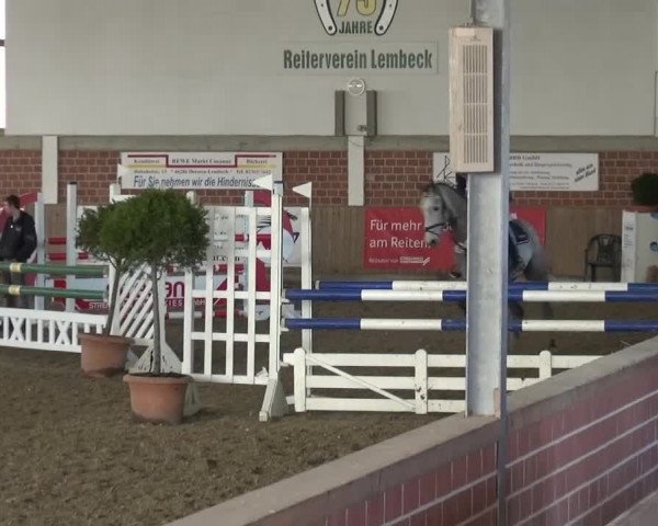 Reitturnier Lembeck 2017