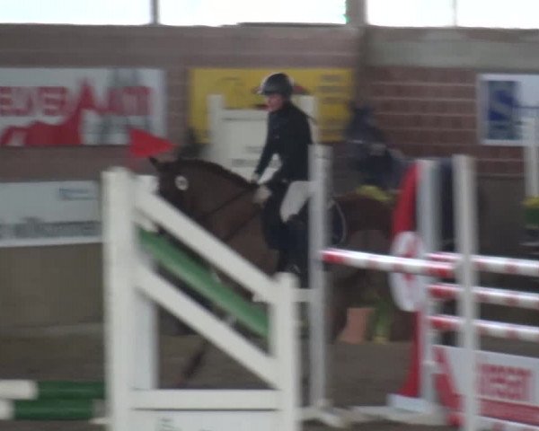 Reitturnier Lembeck 2017