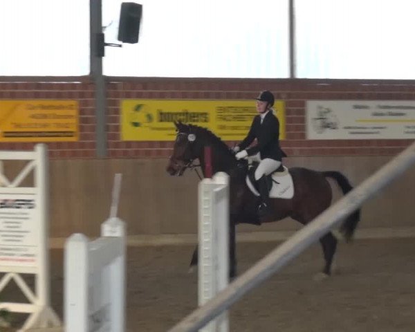 Reitturnier Lembeck 2017