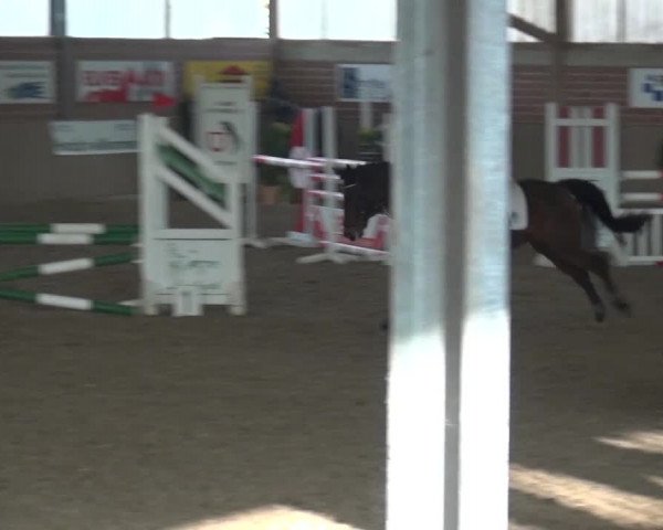 Reitturnier Lembeck 2017
