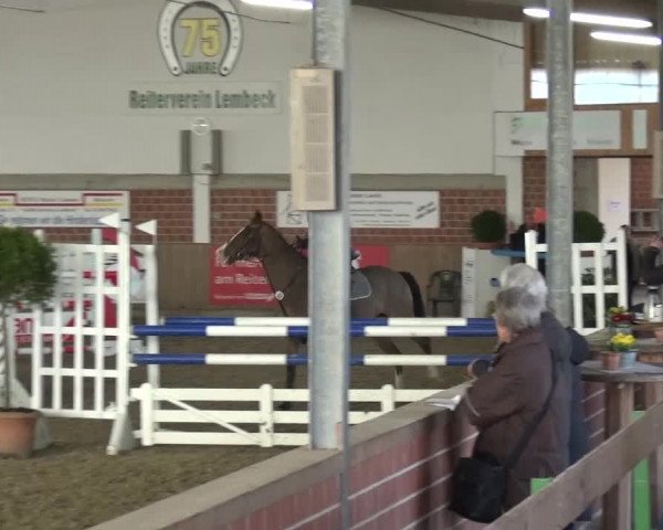 Reitturnier Lembeck 2017