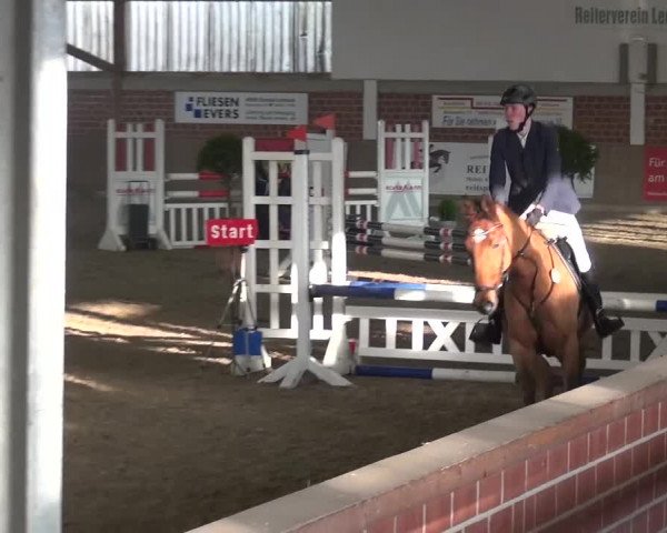Reitturnier Lembeck 2017