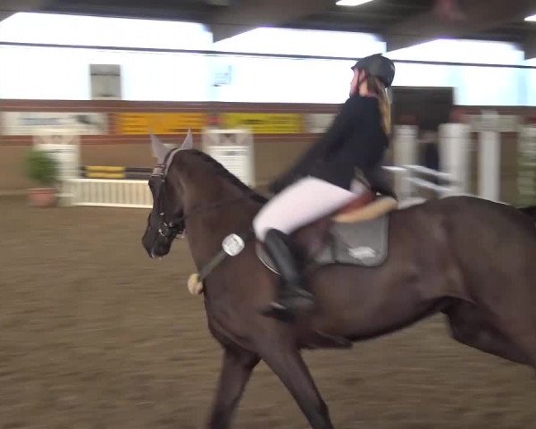 Reitturnier Lembeck 2017