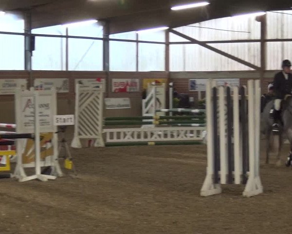 Reitturnier Lembeck 2017