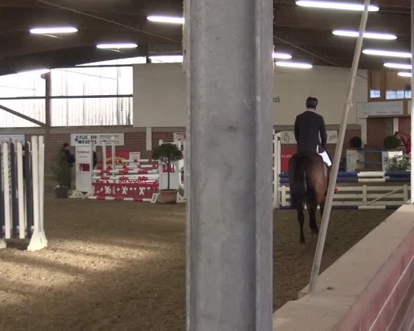 Reitturnier Lembeck 2017
