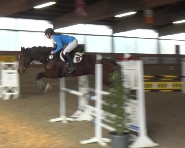 Reitturnier Lembeck 2017