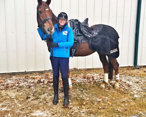 horse Dear Friend (Westphalian, 2008, from Dancing Dynamite)