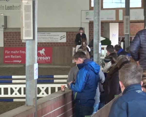 Reitturnier Lembeck 2017