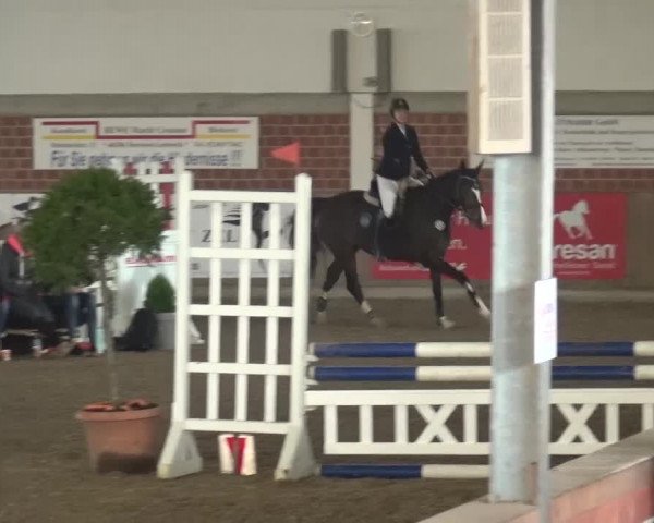 Reitturnier Lembeck 2017