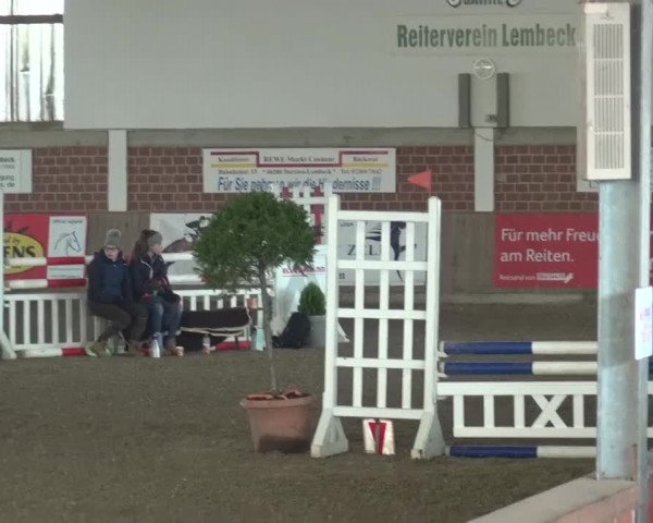 Reitturnier Lembeck 2017