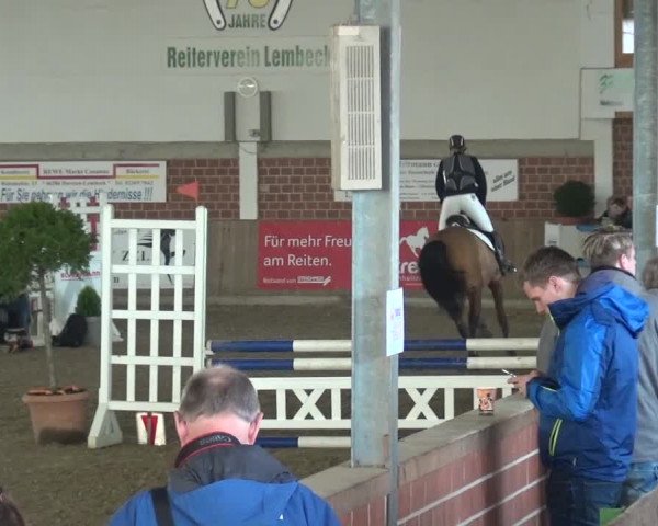Reitturnier Lembeck 2017