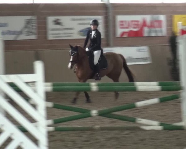 Reitturnier Lembeck 2017