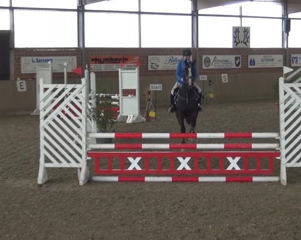 Reitturnier Lembeck 2017