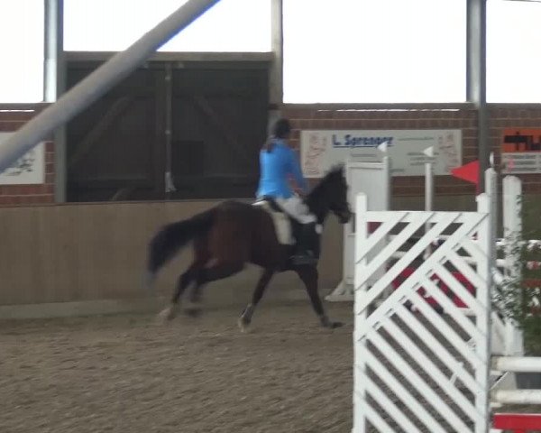 Reitturnier Lembeck 2017