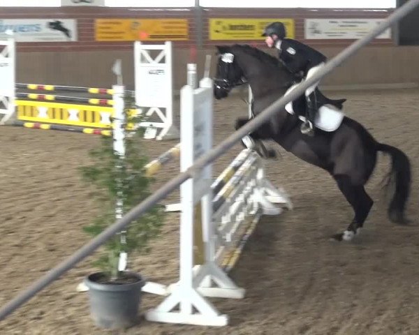 Reitturnier Lembeck 2017