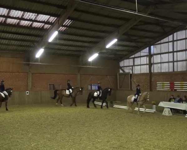 Reitturnier Lembeck 2017