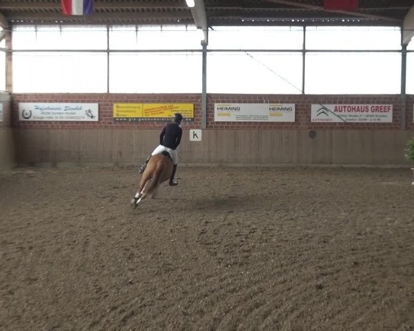 Reitturnier Lembeck 2017