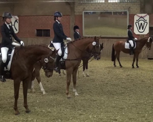 Reitturnier Lembeck 2017