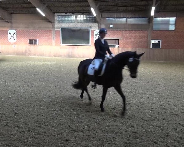 Reitturnier Lembeck 2017