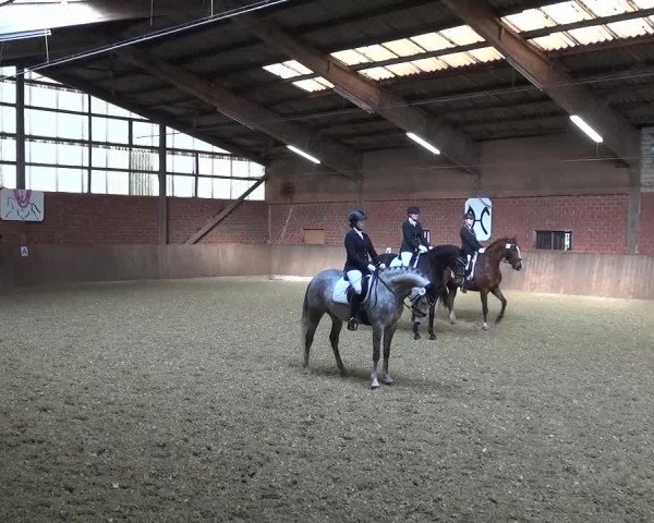 Reitturnier Lembeck 2017