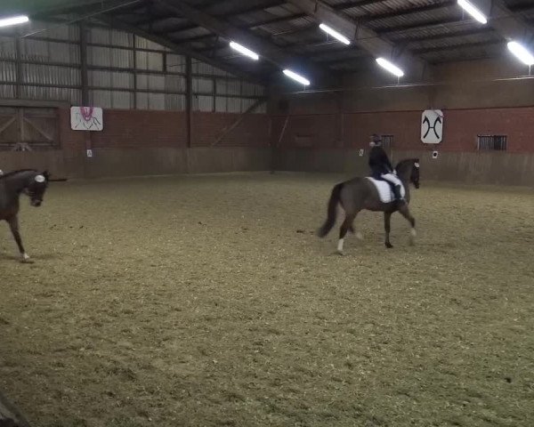 Reitturnier Lembeck 2017