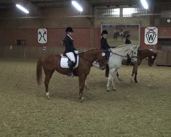 Reitturnier Lembeck 2017