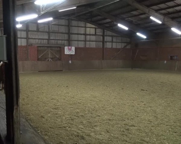 Reitturnier Lembeck 2017
