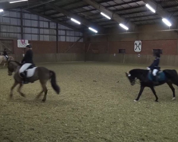 Reitturnier Lembeck 2017
