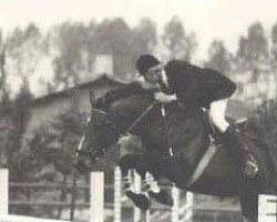 broodmare Loteusi (KWPN (Royal Dutch Sporthorse), 1970, from Uppercut xx)