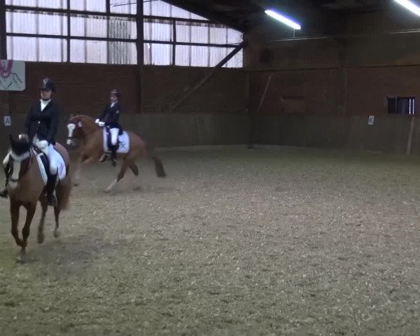 Reitturnier Lembeck 2017