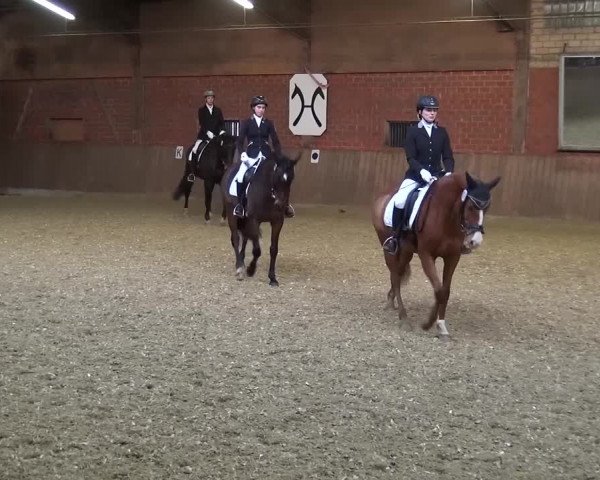 Reitturnier Lembeck 2017