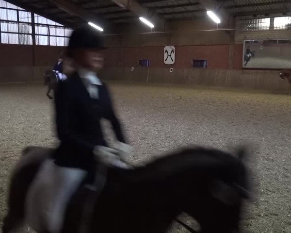 Reitturnier Lembeck 2017