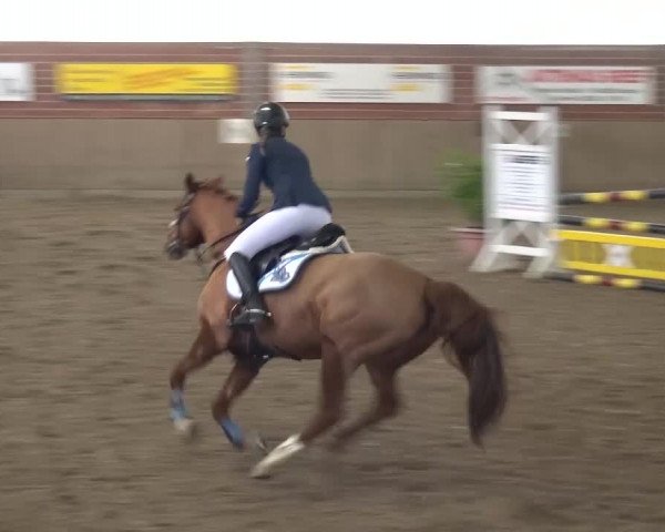 Reitturnier Lembeck 2017