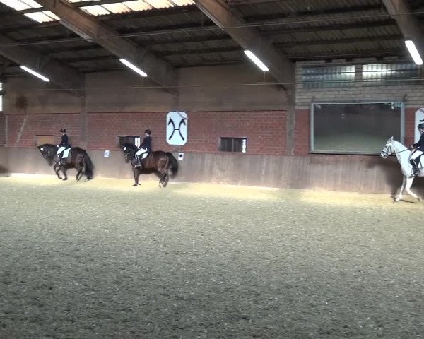Reitturnier Lembeck 2017