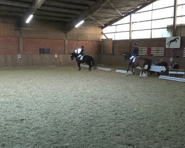 Reitturnier Lembeck 2017
