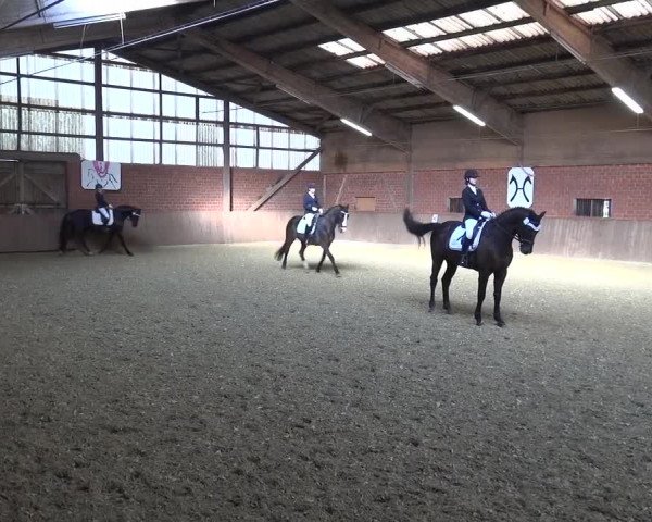 Reitturnier Lembeck 2017