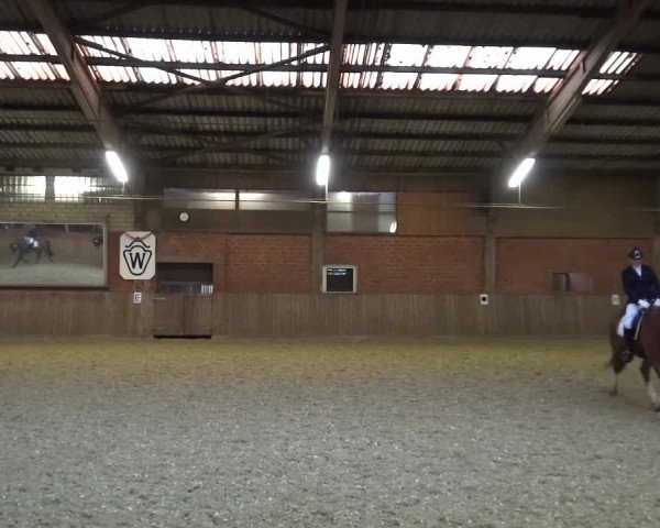 Reitturnier Lembeck 2017