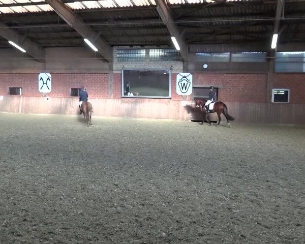 Reitturnier Lembeck 2017