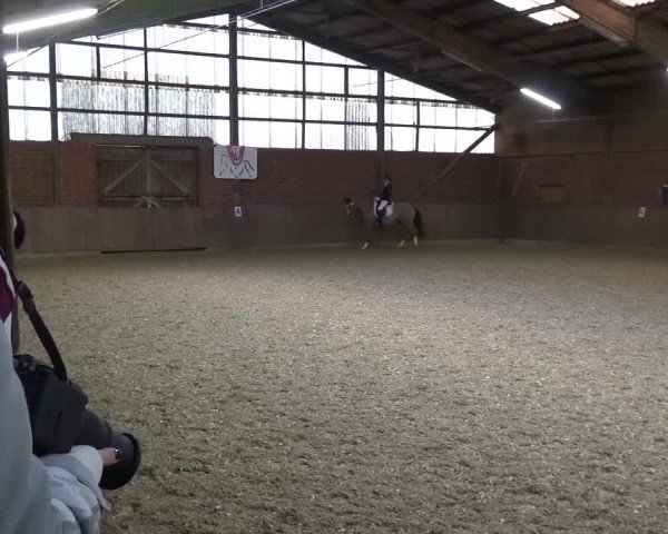 Reitturnier Lembeck 2017