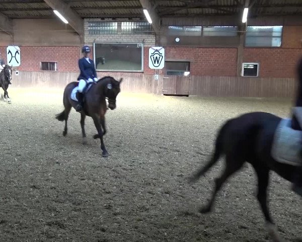 Reitturnier Lembeck 2017