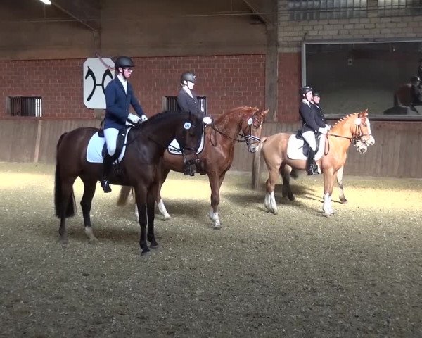 Reitturnier Lembeck 2017