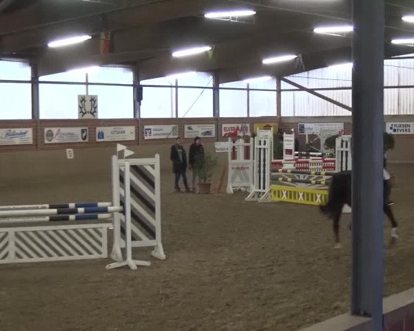 Reitturnier Lembeck 2017