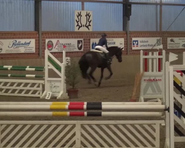 Reitturnier Lembeck 2017
