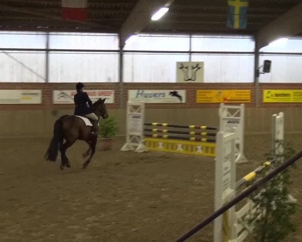 Reitturnier Lembeck 2017