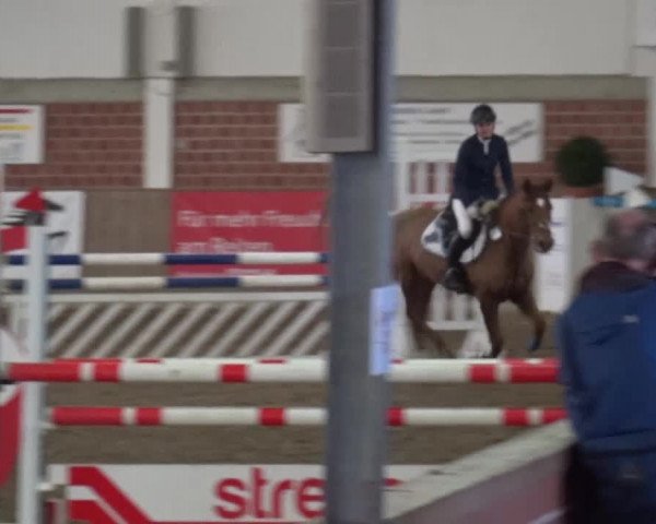 Reitturnier Lembeck 2017