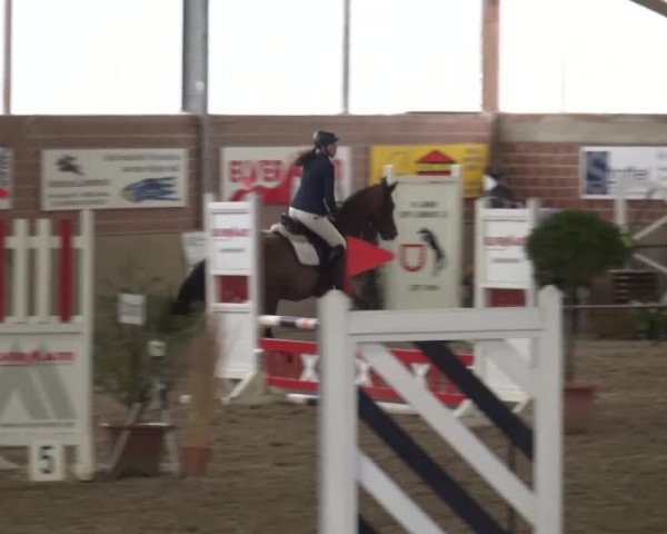 Reitturnier Lembeck 2017